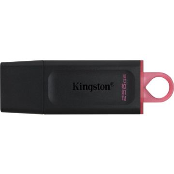 USB stick Kingston DTX/256GB Keychain Black 256 GB