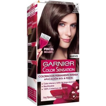 Permanente Kleur Color Sensation Garnier