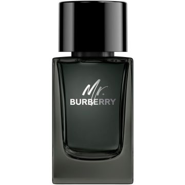 Burberry Mr. Burberry Eau de Parfum Spray 100 ml