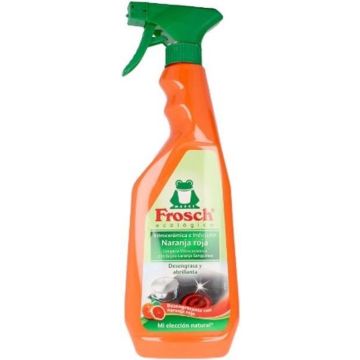 Surface cleaner Kitchen Frosch (750 ml)