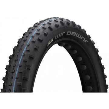 Schwalbe Buitenband Jumbo Jim Evo 26 X 4.00 (100-559) Tle Zwart