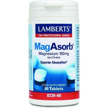 Lamberts Voedingssupplementen Lamberts Magasorb 60tab