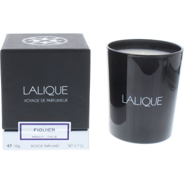 Lalique Candle 190g - Figuier Amalfi