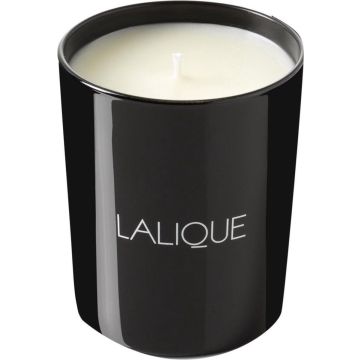 Lalique Candle 190g - Peuplier Aspen