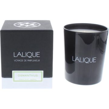 Lalique Candle 190g - Osmanthus Himalaya