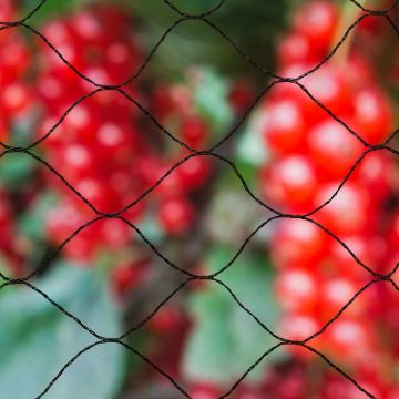 Nature - Primo tuin-net - 10 x 10m - zwart - anti-vogelnetten