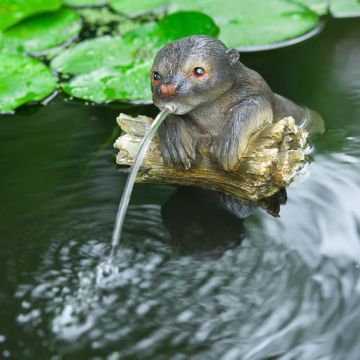 Ubbink - Drijvende otter - Spuitfiguur - waterornament - vijverdecoratie