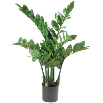 Emerald Kunstplant zamioculcas 70 cm