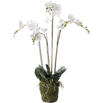 Emerald Kunstplant orchidee met mos wit 90 cm 20.355