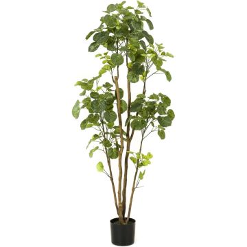 Emerald Kunstboom in pot aralia 160 cm