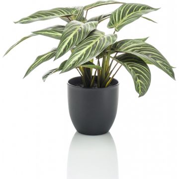 Emerald-Kunstplant-in-pot-Zebrina-calathea-38-cm