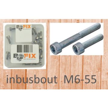 Bofix Inbusbout M6x50mm Din 912 Verzinkt (12 Stuks)