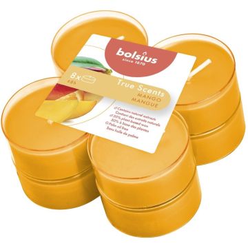 Bolsius - Maxilichten clear cup True Scents Mango 8u