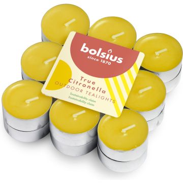 Bolsius - Theelichten - True - Citronella - Geel