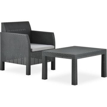 vidaXL 2-delige Loungeset met kussen PP rattan antracietkleurig