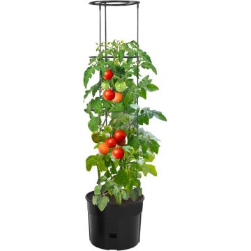 vidaXL Tomatenkweekpot ø39x150 cm polypropeen antracietkleurig