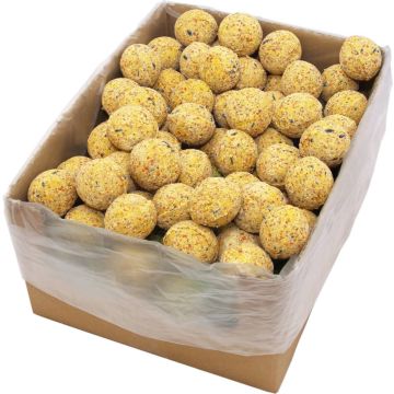 The Living Store Vogelvetbollen - Hoogwaardige energierijke mix - 200 stuks - 90 g per vetbol