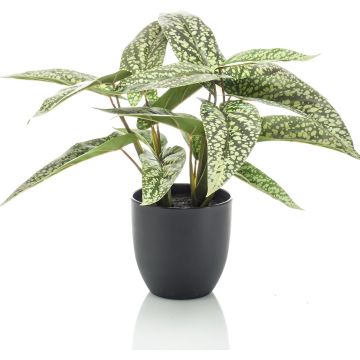 Emerald-Kunstplant-in-pot-Dots-calathea-38-cm