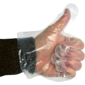 Carpoint PE Handschoenen 80x100 Stuks