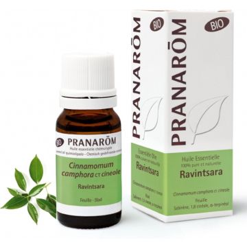 Ravintsara Bio Ess Olie 10ml Pranarom