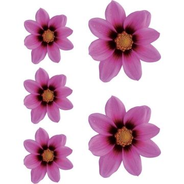 Avisa Aufkleber Flower Garden - rosa - 2x 16x15cm + 3x 8,5x8cm