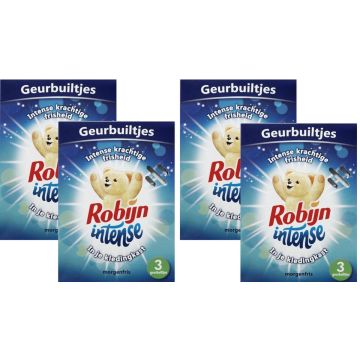 Robijn Geurbuiltjes Morgenfris 4 x 3 Stuks