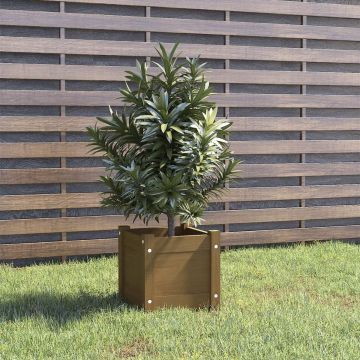 VidaLife Plantenbak 31x31x31 cm massief grenenhout honingbruin