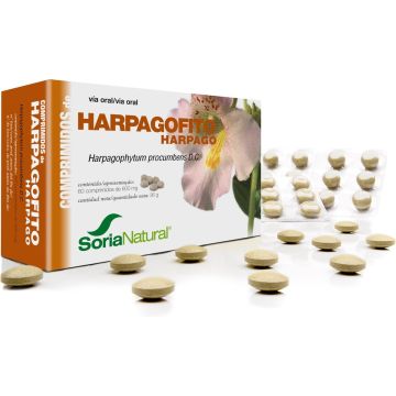 Harpagophytum Proc 24-S Sor