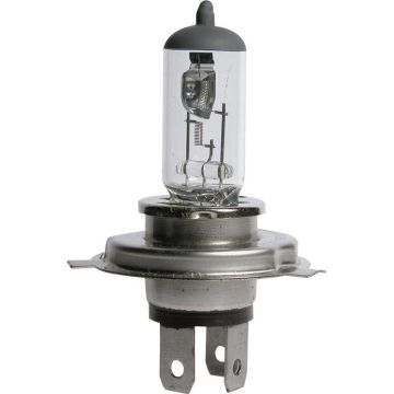 Carpoint Autolamp H4 12 Volt 55/60 Watt Wit Per Stuk