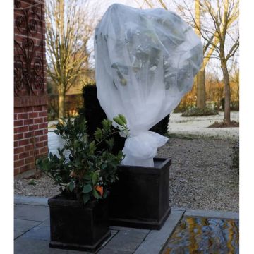 Nature - Winterafdekvlies voor planten - 4 x 6m - 30 g/m² - winterbescherming