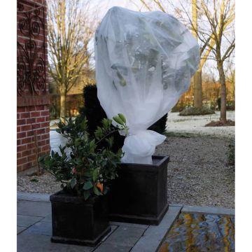 Nature - Winterafdekvlies voor planten - 2 x 10m - 30 g/m² - winterbescherming