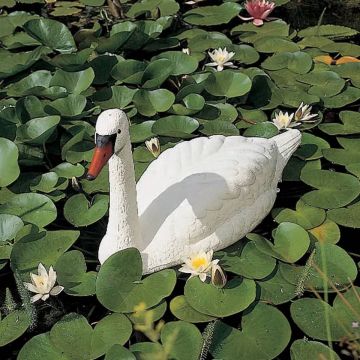 Ubbink - Dierfiguur - Zwaan - vijverdecoratie - wit