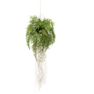 Emerald Kunstvaren hangend met wortels 35 cm