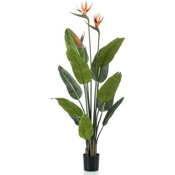 Emerald Kunstplant met pot en bloemen Strelitzia 120 cm