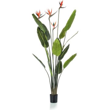 Emerald Kunstplant in pot strelitzia met 4 bloemen 150 cm