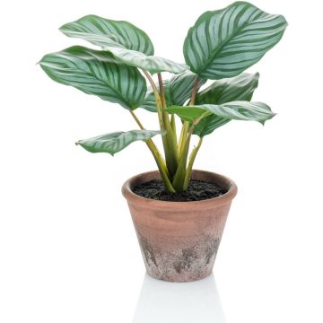 Emerald-Kunstplant-in-pot-Terra-calathea-orbifolia-32-cm
