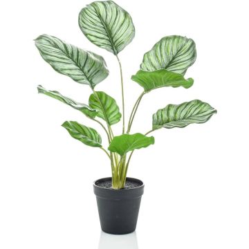 Emerald-Kunstplant-in-pot-calathea-orbifolia-45-cm