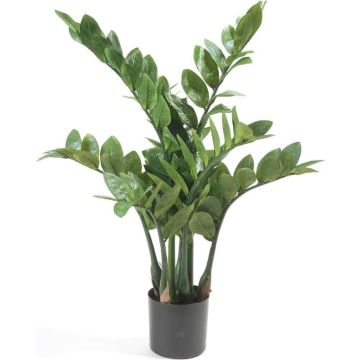 Emerald Kunstplant zamioculcas 70 cm