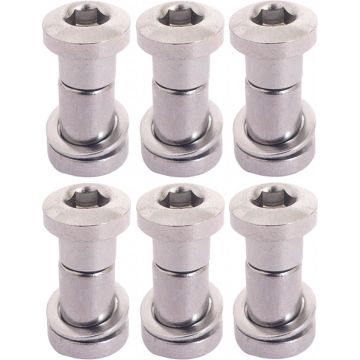 Bofix Zadelpenbout Race Inbus M6-22 Mm Per 6 Stuks