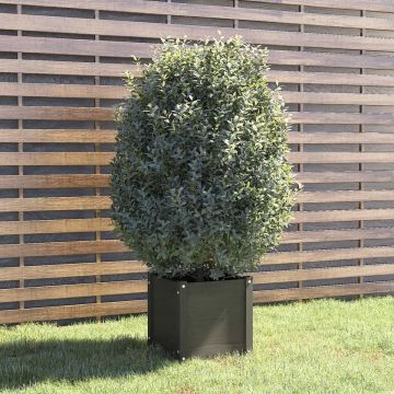 vidaXL Plantenbak 40x40x40 cm massief grenenhout grijs