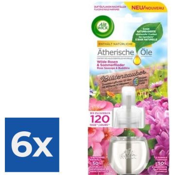 Airwick Navulling Atherische Olie van Wilde Rozen &amp; Zomerbloemen 19ml - Voordeelverpakking 6 stuks